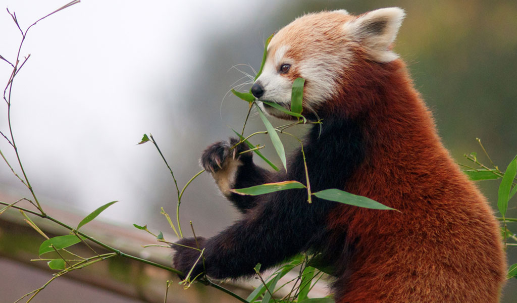 eaux-mer-morte-bienfaits