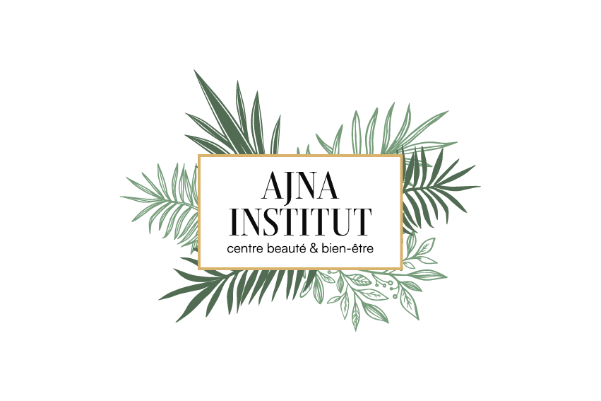 Ajna Institut